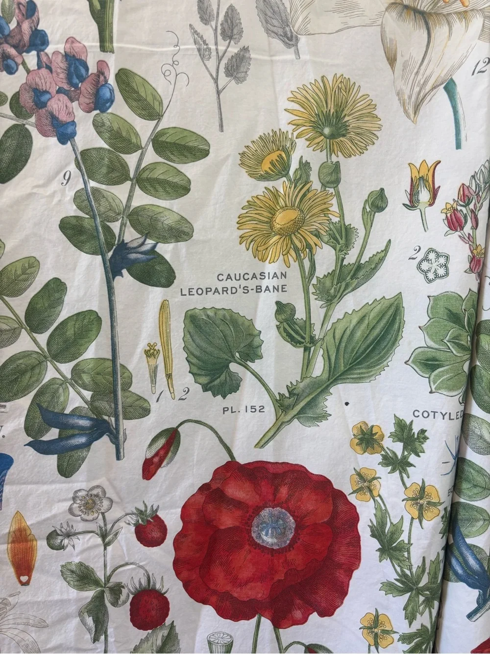 Pottery Barn Poppy Percale Reversible Duvet Cover | 100% cotton | King Size